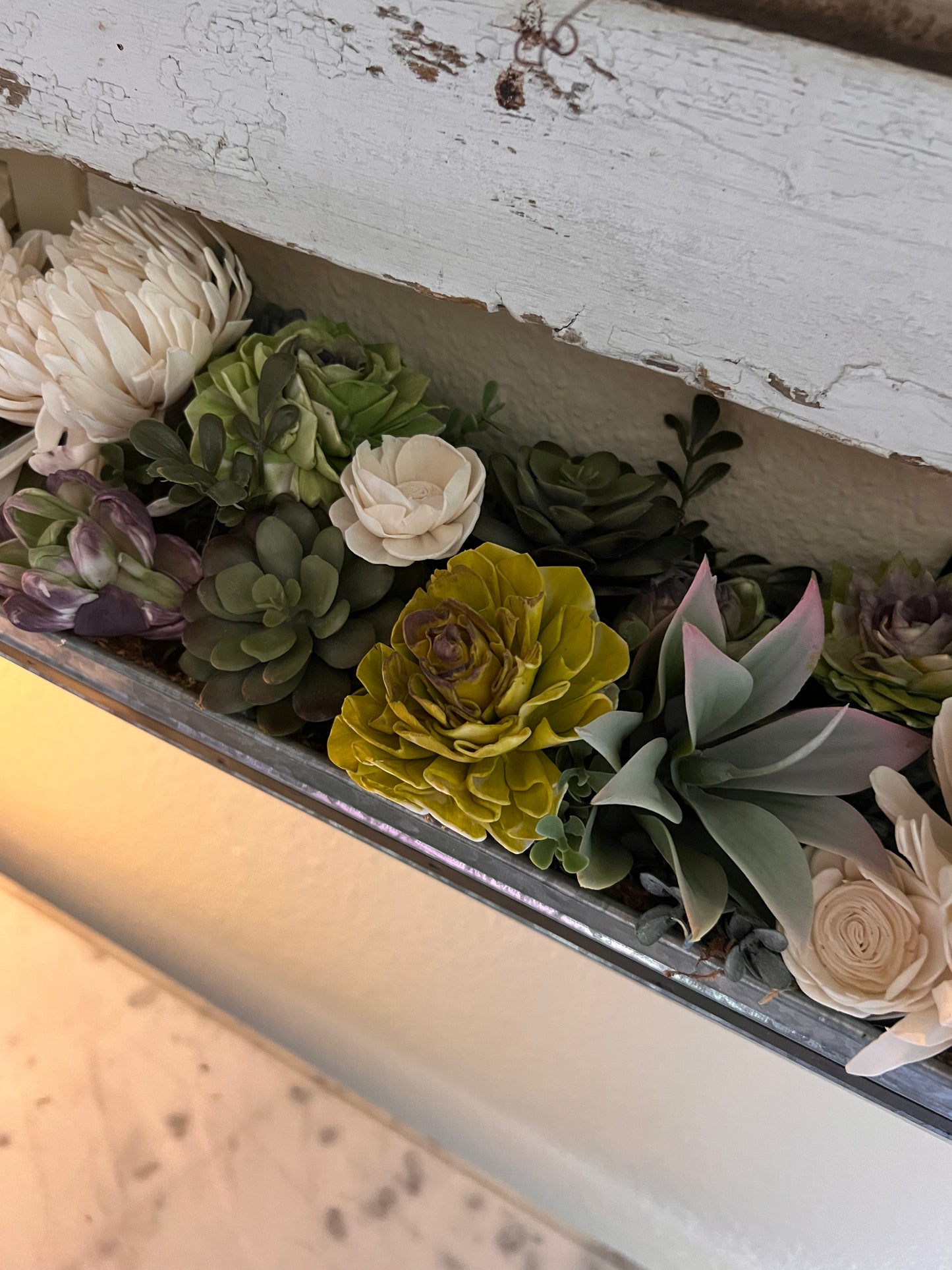 Wall Planter- Succulents