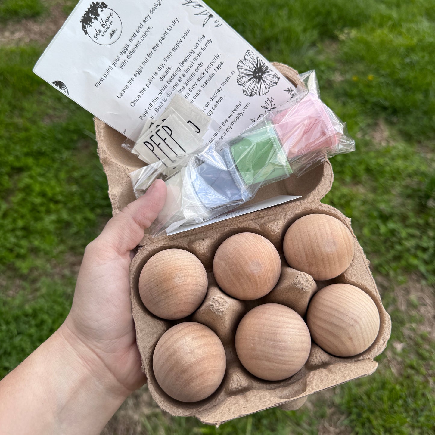 Wooden Eggs Craft Kit
