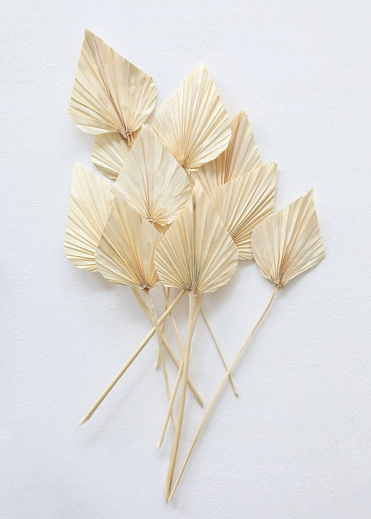 Dried Palm Spears